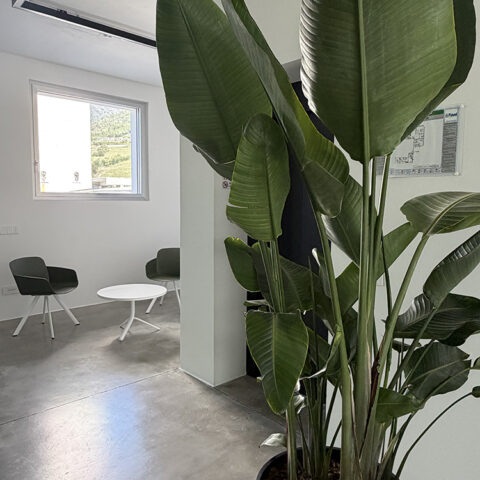 Feval Elettroforniture Chiuro