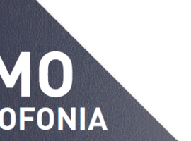 promovideocitofonia